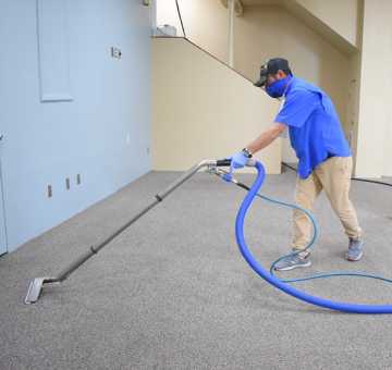 Expert Carpet Cleaning For Allergies Sutherland Shire