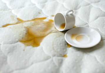 Expert Carpet Stain Removal Service Caringbah