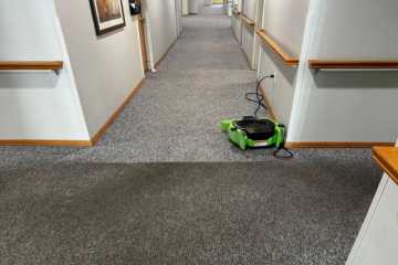 Commercial Carpet Cleaning St George