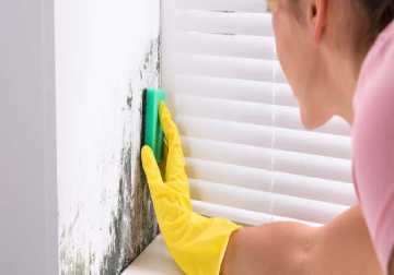 24/7 Emergency Mould Removal Services Woolooware