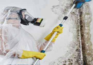 24/7 Emergency Mould Removal Services Woolooware