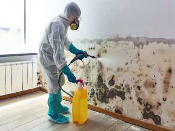 Emergency Mould Remover Brighton le Sands