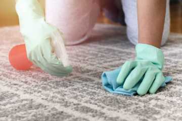 Best Way to Remove Carpet Stains Miranda