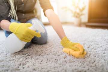 Best Way to Remove Carpet Stains Miranda