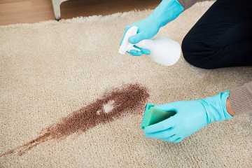 How to Remove Stains from Carpet Miranda