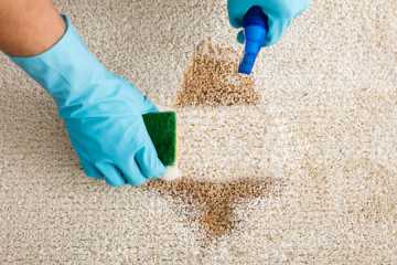 How to Remove Stains from Carpet Miranda